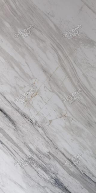 ELC01190180S