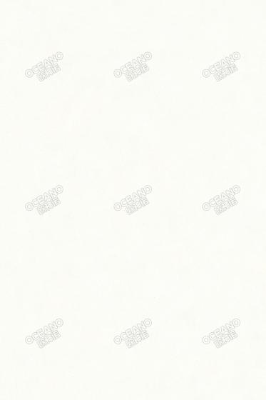 Y1004SWS壹級(jí)白