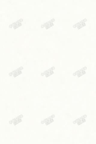 Y1004SWS壹級白