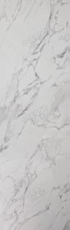 SL032280260S