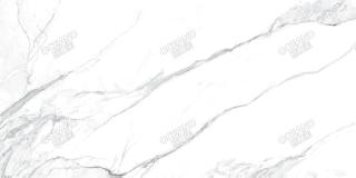 ELC00890180S