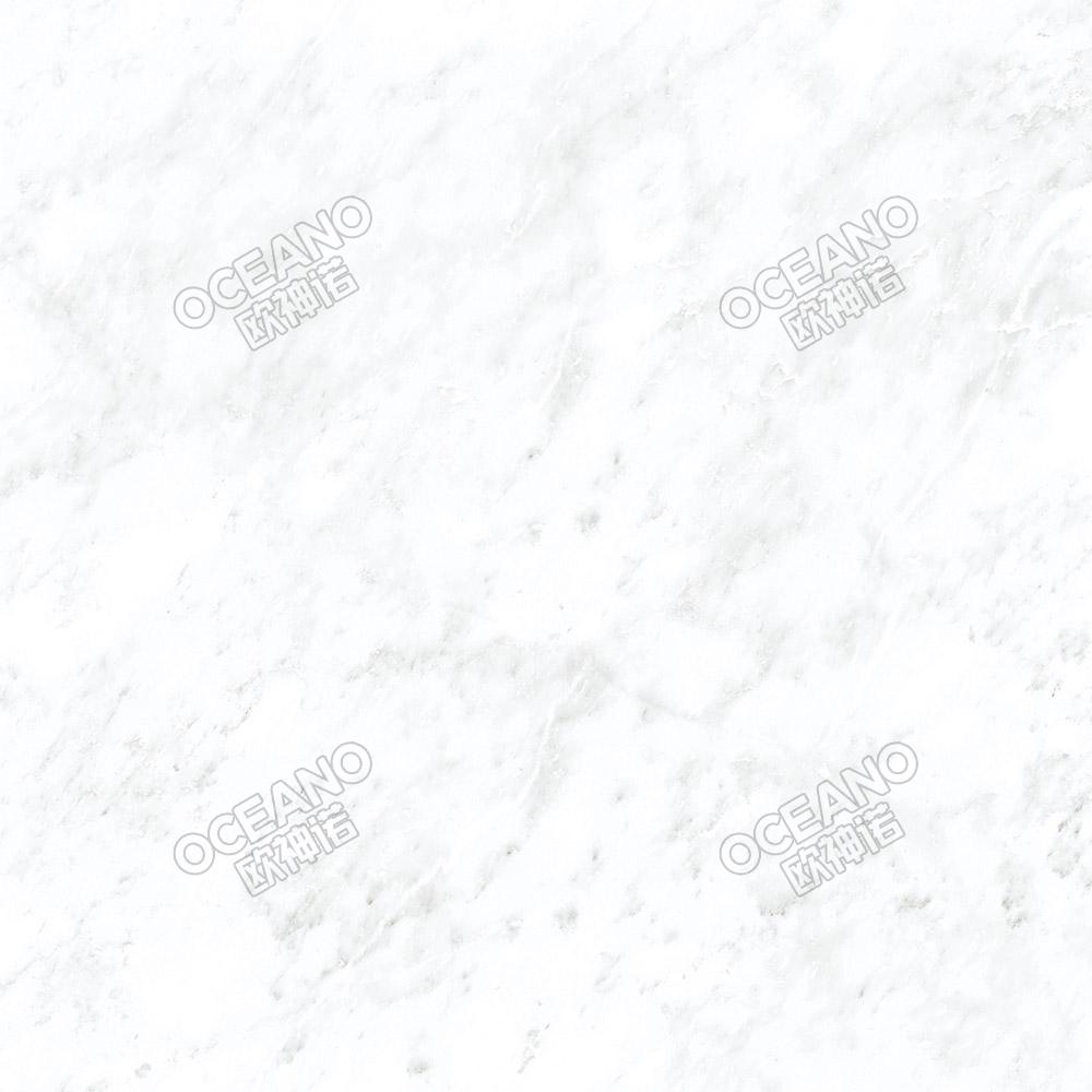 ELN03580E