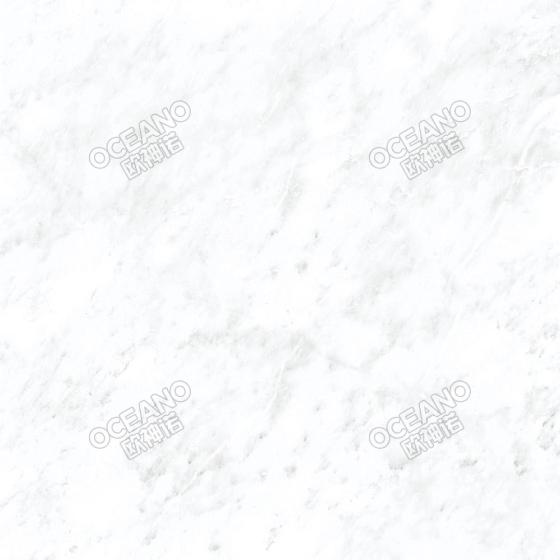 ELN03580E