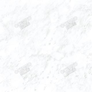 ELN03580E