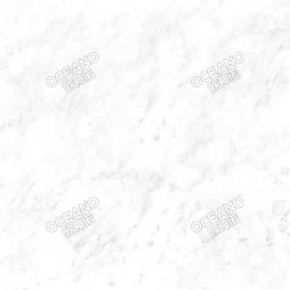 ELN03580E
