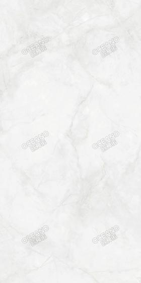 GEBN00160120S寒江雪