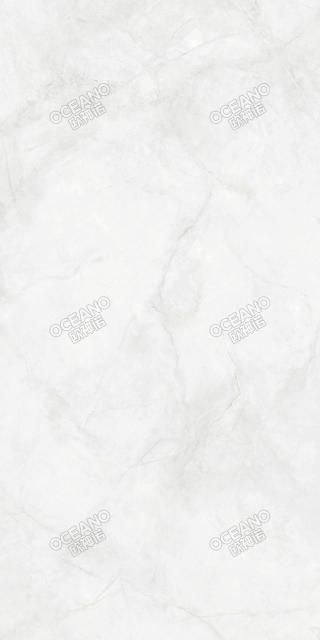 GEBN00160120S寒江雪