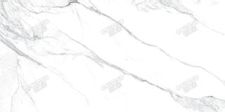 ELC00990180S