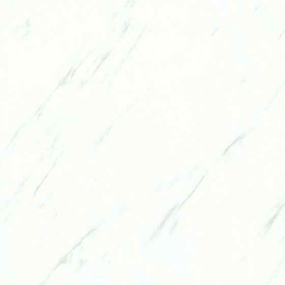 ELJ00280S卡拉拉白