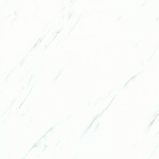 ELJ00280S卡拉拉白