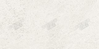 Y1156012020B