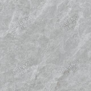 EAD10380IAS哥斯亞灰
