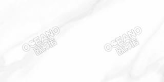 GFLP0204080ZS