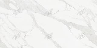 YBFCS02190180EA特斯拉白