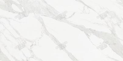 特斯拉白