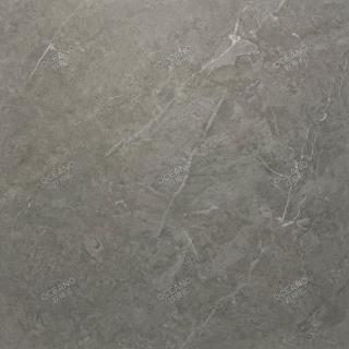 GEN106160