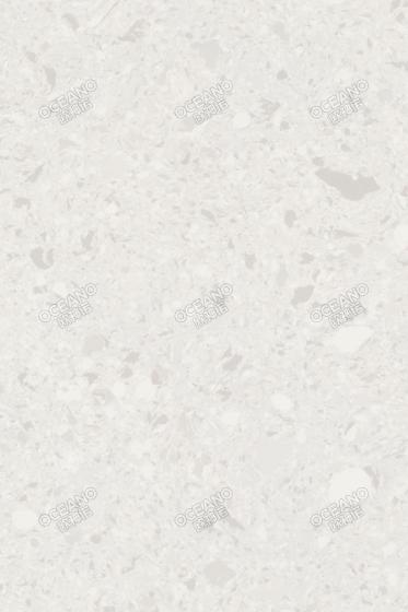 F3105FSS天山巖