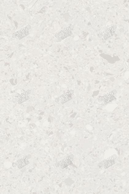 F3105FSS天山巖