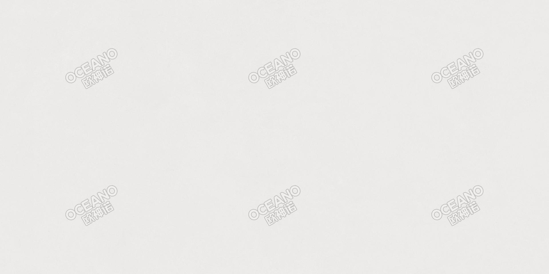 GA0248E冬雪