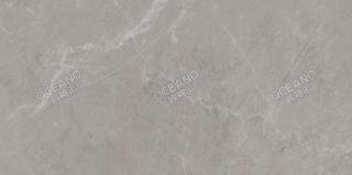YL2519A