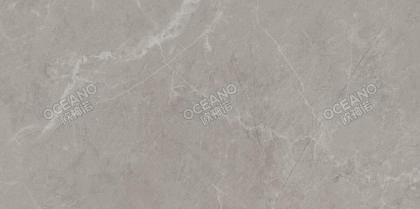 YL2519A