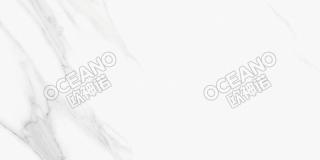 GFLP0074080ZS