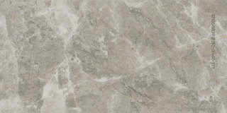 EY1366030