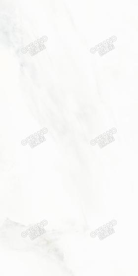 GEBL00160120ZS高山白