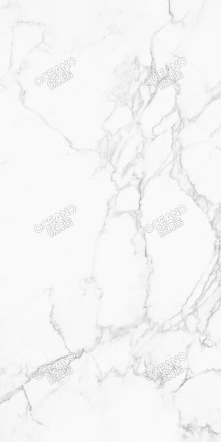 ELS04580160S雪花白