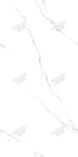 EBA00175150X意大利白