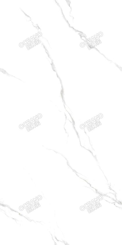 EBA00175150X意大利白
