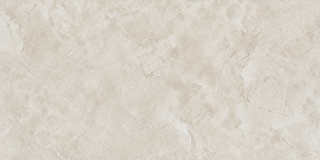 YL221081778