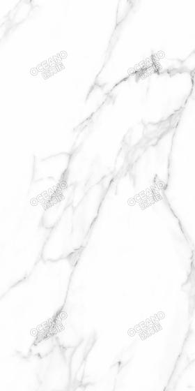 ELS04380160S卡拉拉白