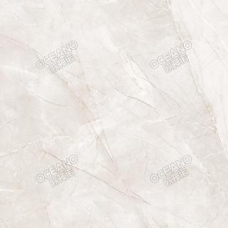 SCS11190DE凱撒（灰）