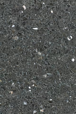 Z1805GMP黑蔷薇